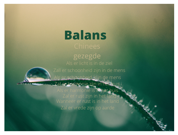 Balans